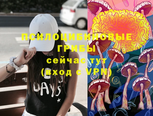 МДПВ Нефтекумск