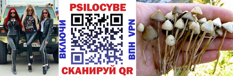 купить  сайты  Сортавала  Галлюциногенные грибы ЛСД 